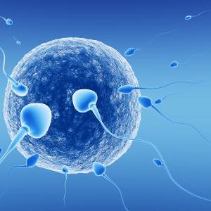 Longest Luteal Phase Possible - Help With Fertility After 40 - Cure Your Infertility